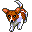 animals012.gif