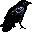 animals052.gif