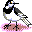 animals060.gif