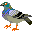 animals064.gif