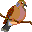 animals073.gif