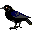 animals074.gif