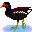 animals083.gif