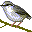 animals091.gif
