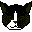 animals234.gif