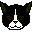 animals240.gif