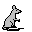 animals284.gif