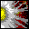 button10.gif