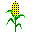 food001.gif