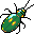 insects16.gif