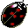 insects19.gif