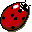 insects24.gif