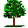 plants015.gif