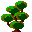 plants020.gif