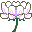 plants077.gif
