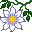plants085.gif