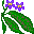 plants086.gif