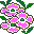 plants087.gif