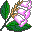 plants095.gif