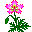 plants105.gif