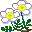plants106.gif
