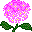 plants113.gif