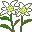 plants118.gif