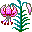 plants123.gif