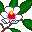 plants127.gif