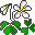 plants139.gif