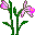 plants145.gif