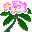 plants152.gif