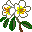 plants153.gif