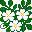plants154.gif