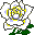 plants157.gif
