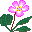 plants163.gif