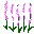 plants165.gif