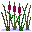 plants182.gif