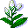 plants186.gif